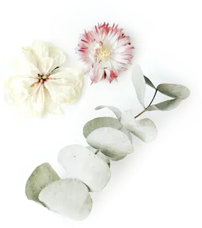 Spa & Wellness 10